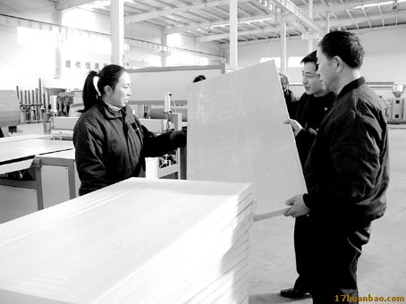 [图文]国内首套环保型保温板材生产线投产