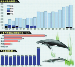 环保组织悬赏2.5万美金“通缉”日本捕鲸船