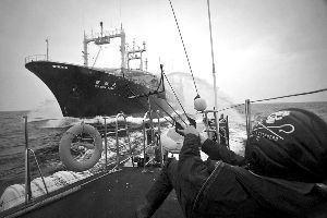 9日，日本捕鲸船与环保组织“海洋守望者”成员在海上“激战”。由于“海洋守望者”的奋力阻拦，日决定暂停捕鲸。 