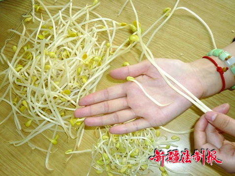 乌鲁木齐现“化工”豆芽每根长超过15厘米