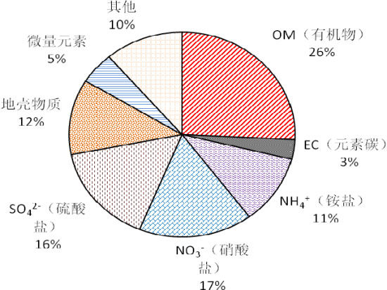 北京市2012-2013年度PM2.5主要成分质量百分比