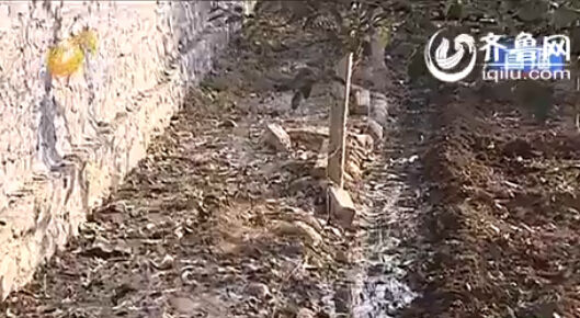 济南一食品厂污水池渗漏一年附近水井果园被污染