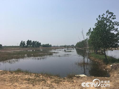 河北省晋州市滹沱河排污口附近形成巨大的蓄水坑，坑内的水呈现黑色。央视网 图